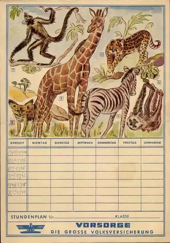 Stundenplan Vorsorge Lebensversicherungs AG, Hannover, Zebra, Giraffe