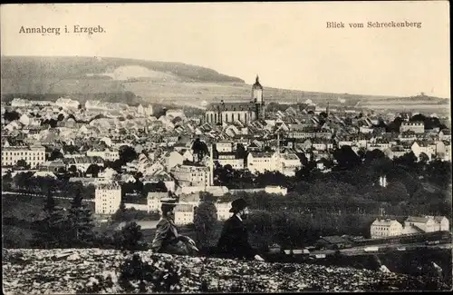 Ak Annaberg Buchholz im Erzgebirge, Panorama vom Schreckenberg aus