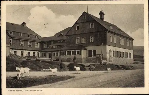 Ak Oberwiesenthal im Erzgebirge Sachsen, Neues Haus, Ziegen