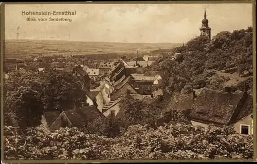 Ak Hohenstein Ernstthal in Sachsen, Panorama vom Seidelberg aus