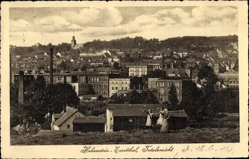 Ak Hohenstein Ernstthal in Sachsen, Panorama