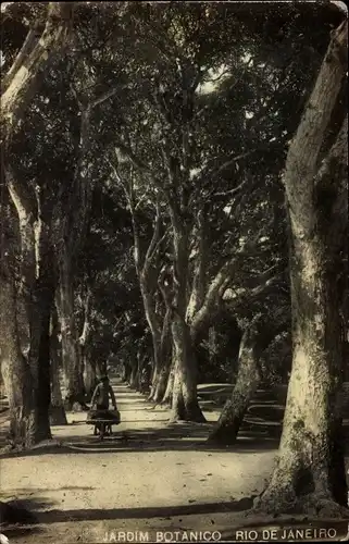 Ak Rio de Janeiro Brasilien, Jardim Botanico