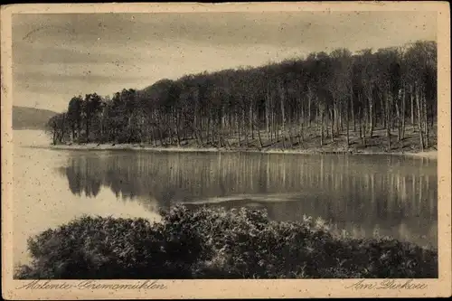 Ak Malente Gremsmühlen, Dieksee, Wald