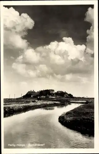 Ak Hallig Hooge in Nordfriesland, Backenswarf