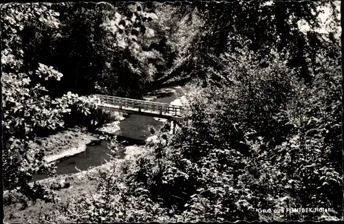 Ak Flintbek in Schleswig Holstein, Wald, Bach, Brücke