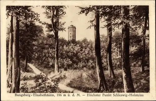 Ak Schönwalde am Bungsberg in Ostholstein, Elisabethturm