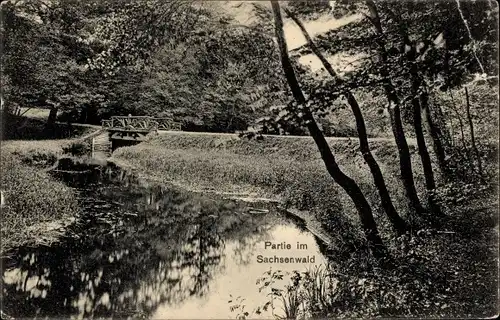 Ak Sachsenwald Hofriede Aumühle im Herzogtum Lauenburg, Weg, Bruücke