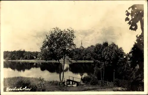 Foto Ak Bordesholm in Holstein, Teilansicht, Steg