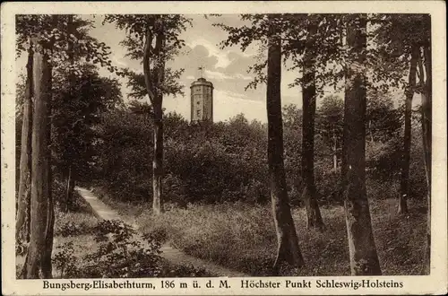 Ak Schönwalde am Bungsberg in Ostholstein, Elisabethturm