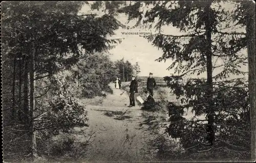 Ak Kropp in Schleswig, Kropper Anstalten, Waldspaziergang