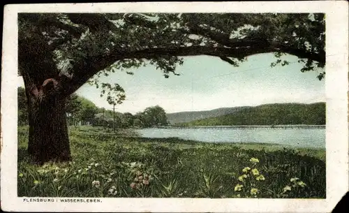 Ak Wassersleben Harrislee in Schleswig Holstein, Landschaftsmotiv