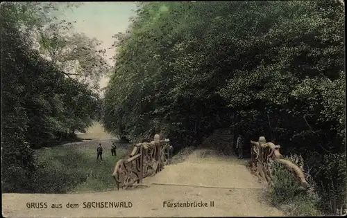 Ak Sachsenwald Hofriede Aumühle im Herzogtum Lauenburg, Fürstenbrücke II