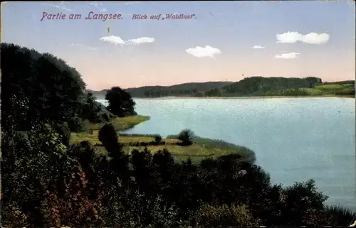 Ak Süderfahrenstedt in Schleswig Holstein, Langsee, Waldlust