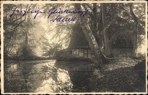 Foto Ak Ostseebad Eckernförde, Haus im Wald