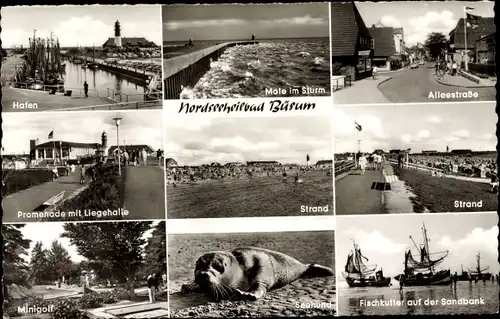 Ak Nordseebad Büsum, Hafen, Alleestraße, Seehund, Fischkutter auf der Sandbank, Minigolf
