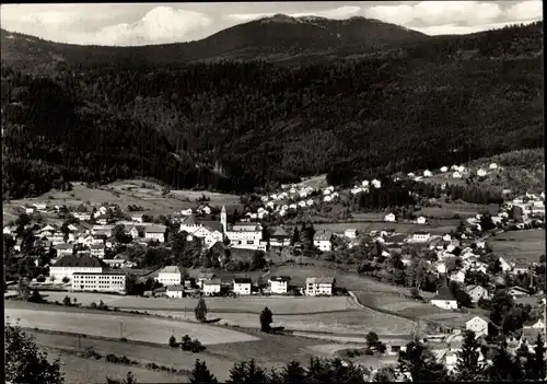 Ak Bodenmais in Niederbayern, Panorama