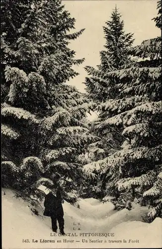 Ak Le Lioran Cantal, Winter, Ein Weg durch den Wald