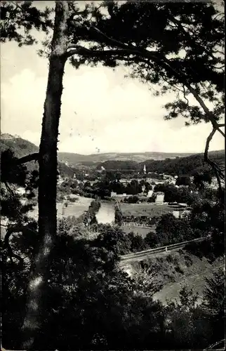 Ak Aywaille Wallonia Lüttich, Panoramablick auf die Wälder von Septroux