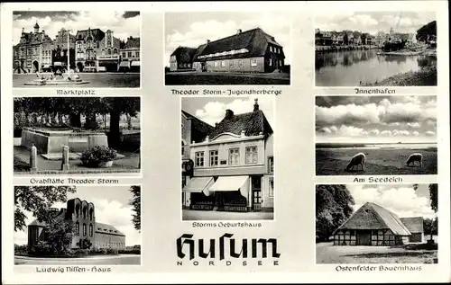 Ak Husum in Nordfriesland, Marktplatz, Grabstätte Theodor Storm, Innenhafen, Seedeich