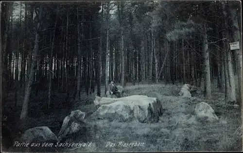 Ak Sachsenwald Hofriede Aumühle im Herzogtum Lauenburg, Das Riesenbett, Wald