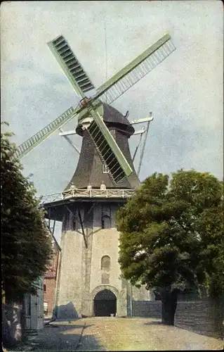 Ak Windmühle, Bäume, Straßenpartie
