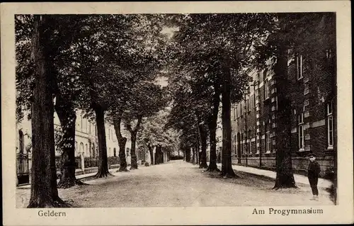 Ak Geldern am Niederrhein, am Progymnasium, Allee