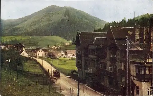 Ak Steinhaus am Semmering Steiermark, Teilansicht