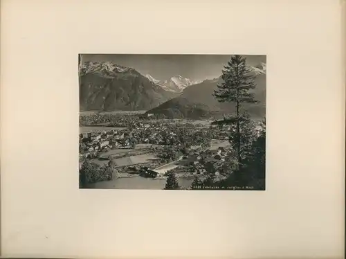 Foto Interlaken Kanton Bern, Panorama, Jungfrau, Mönch