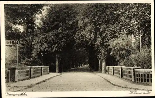 Ak Gremsmühlen Malente in Ostholstein, Kastanienallee