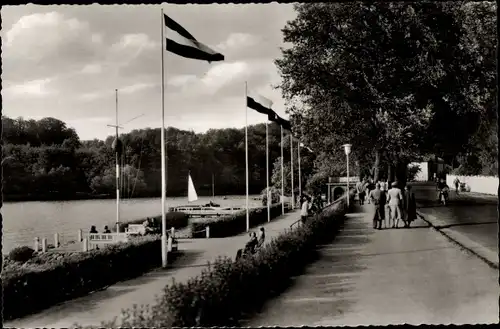 Ak Gremsmühlen Malente in Ostholstein, Dieksee-Promenade, Fahnen