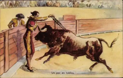 Ak Stierkampf, Stier, Torero, Stadion