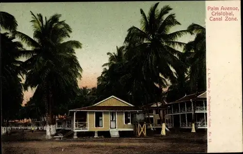Ak Cristóbal Panama, Palm Avenue, Cristobal, Kanalzone