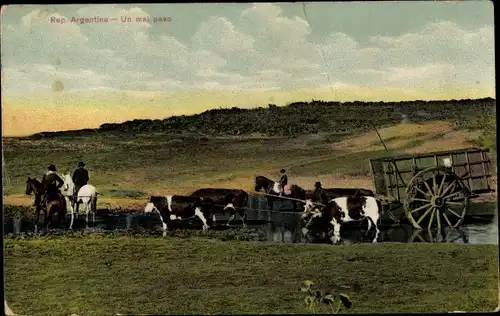 Ak Argentinien, Bauern mit Kühen, Wagen