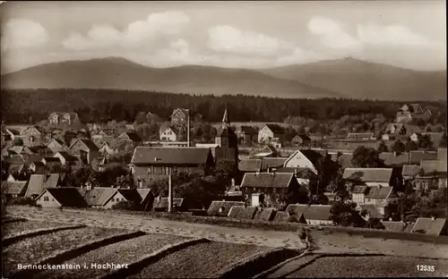 Ak Benneckenstein Oberharz, Panorama