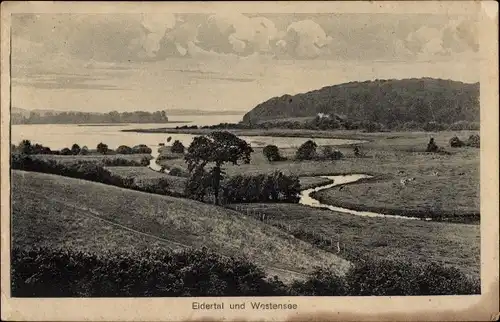 Ak Westensee in Schleswig Holstein, Eidertal, Panorama