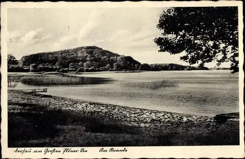 Ak Dersau im Plöner Land, Großer Plöner See