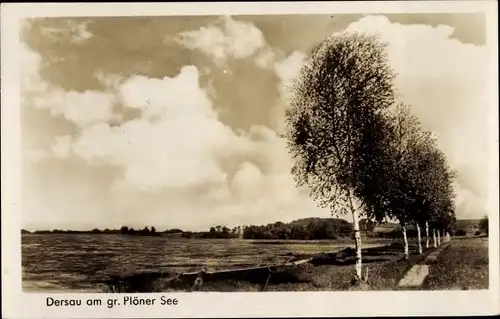 Ak Dersau im Plöner Land, Großer Plöner See