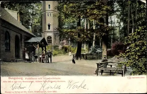 Ak Schönwalde am Bungsberg in Ostholstein, Bungsberg, Forsthaus mit Elisabethturm