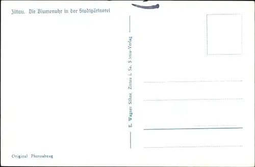 Ak Zittau in der Oberlausitz,  Blumenuhr in der Stadtgärtnerei