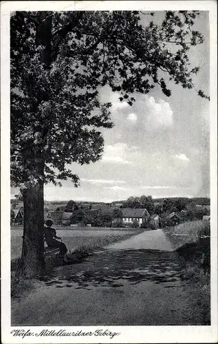 Ak Weifa Steinigtwolmsdorf Lausitz, Wegpartie, Ortsansicht