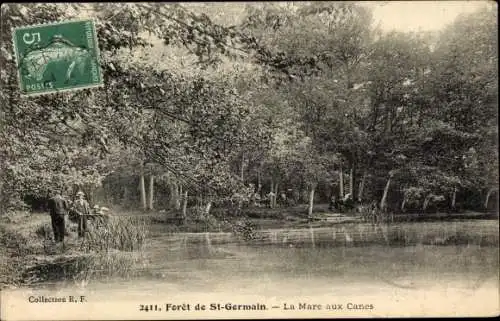 Ak Saint Germain en Laye Yvelines, Le Mare aux Canes