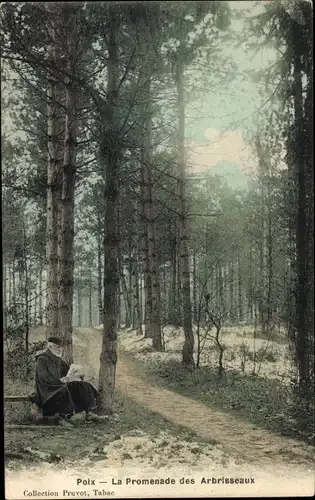 Ak Poix-Somme, Promenade des Arbrisseaux