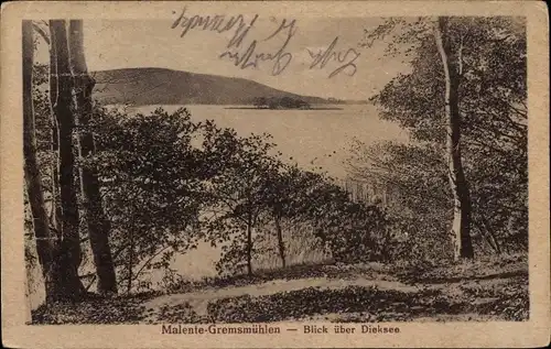 Ak Gremsmühlen Malente in Ostholstein, Dieksee