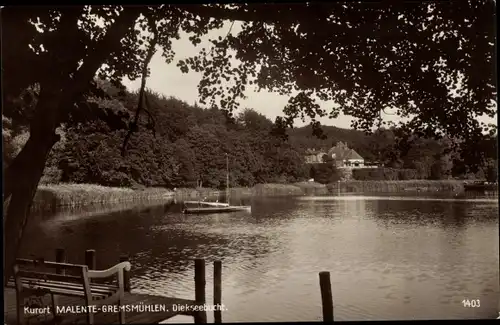 Ak Gremsmühlen Malente in Ostholstein, Diekseebucht