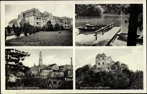 Ak Gryfów Śląski Greiffenberg Schlesien, Sanatorium Birkenhof, Burgruine