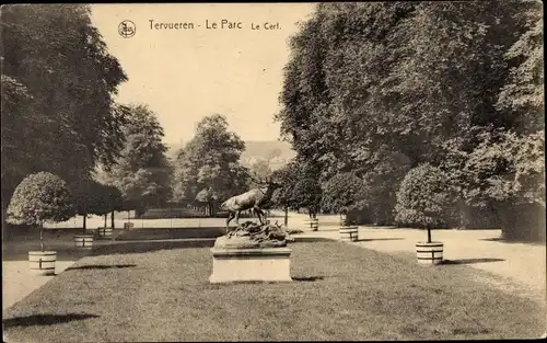 Ak Tervuren Tervueren Flämisch-Brabant Flandern, Park, Hirsche