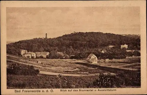 Ak Bad Freienwalde an der Oder, Brunnental und Aussichtsturm