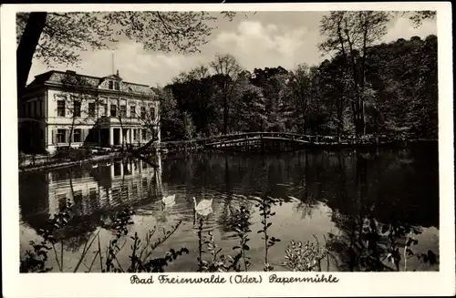 Ak Bad Freienwalde an der Oder, Papenmühle