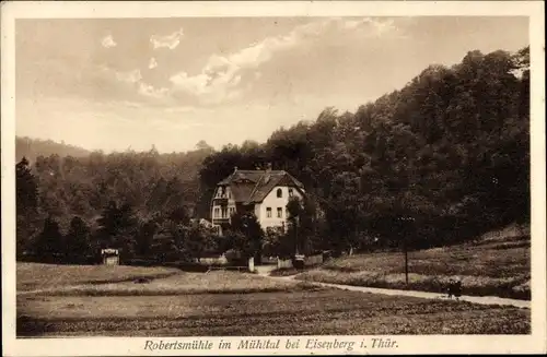 Ak Eisenberg in Thüringen, Mühltal, Robertsmühle
