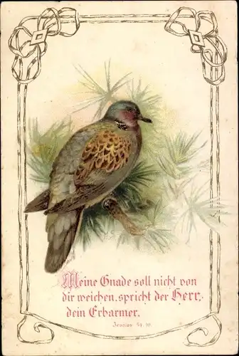 Ak Jesaias 54 10, Meine Gnade soll nicht von dir weichen, Vogel